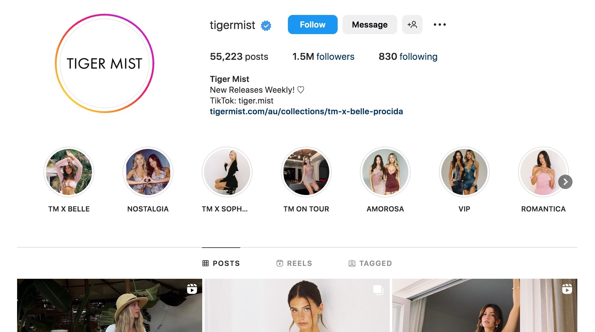 Example of verified profile on Instagram @tigermist